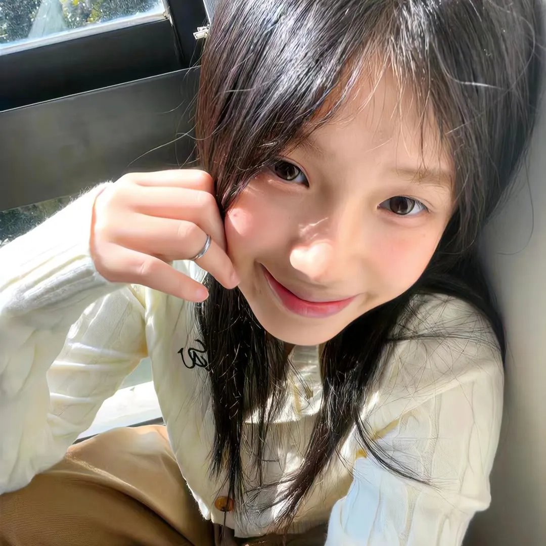 提姆的维美尔
